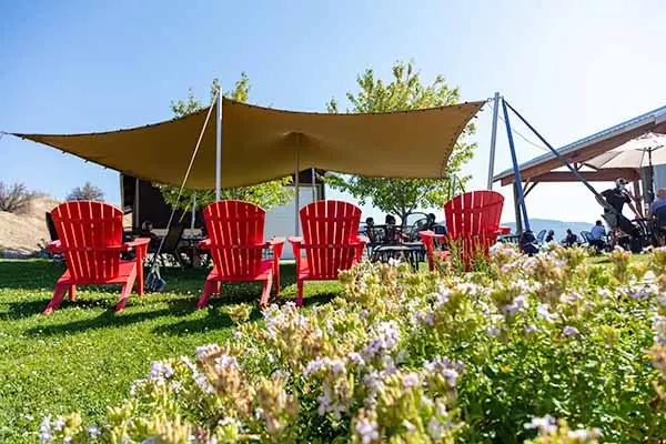 GeoFlex Stretch Tent case study 